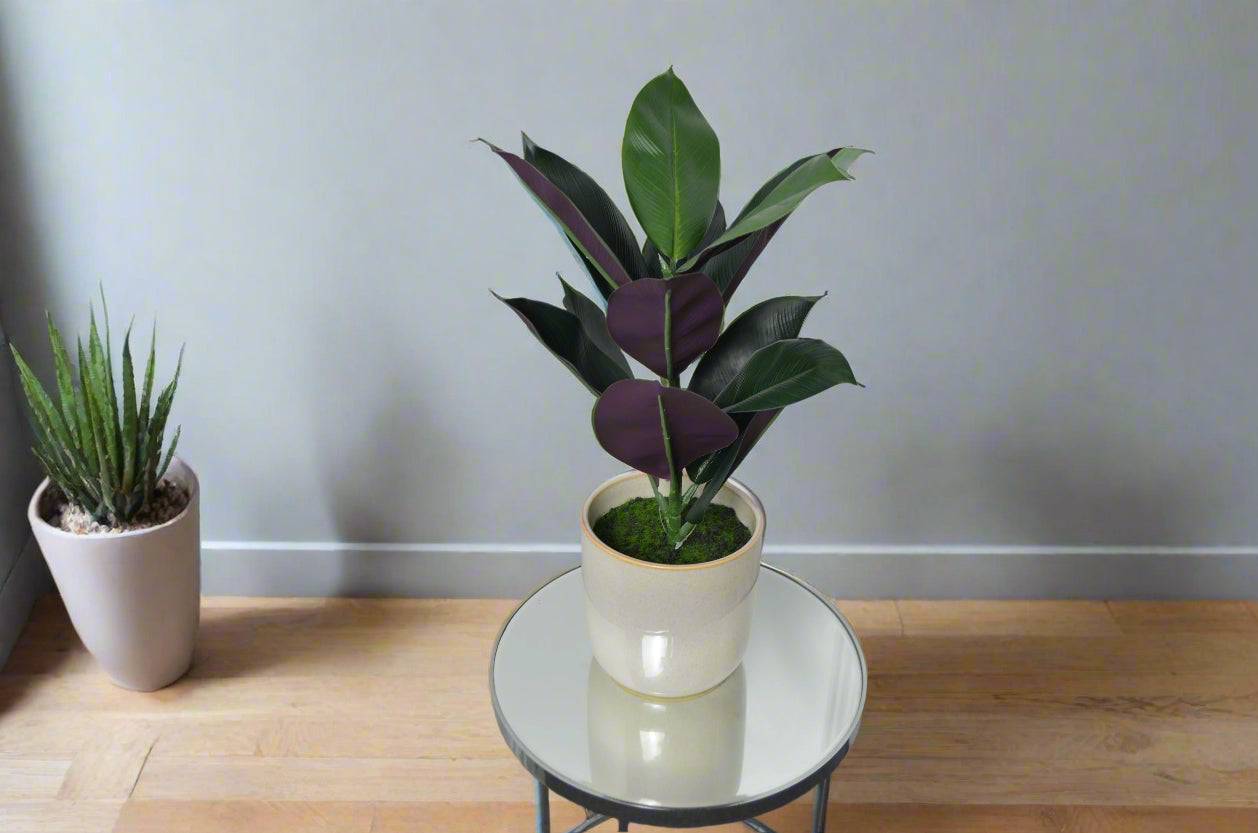 Two potted plants on a small round table against a plain wall.