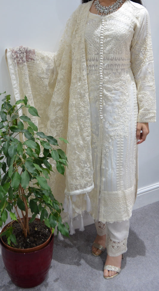 Beautiful Chiffon Kameez set