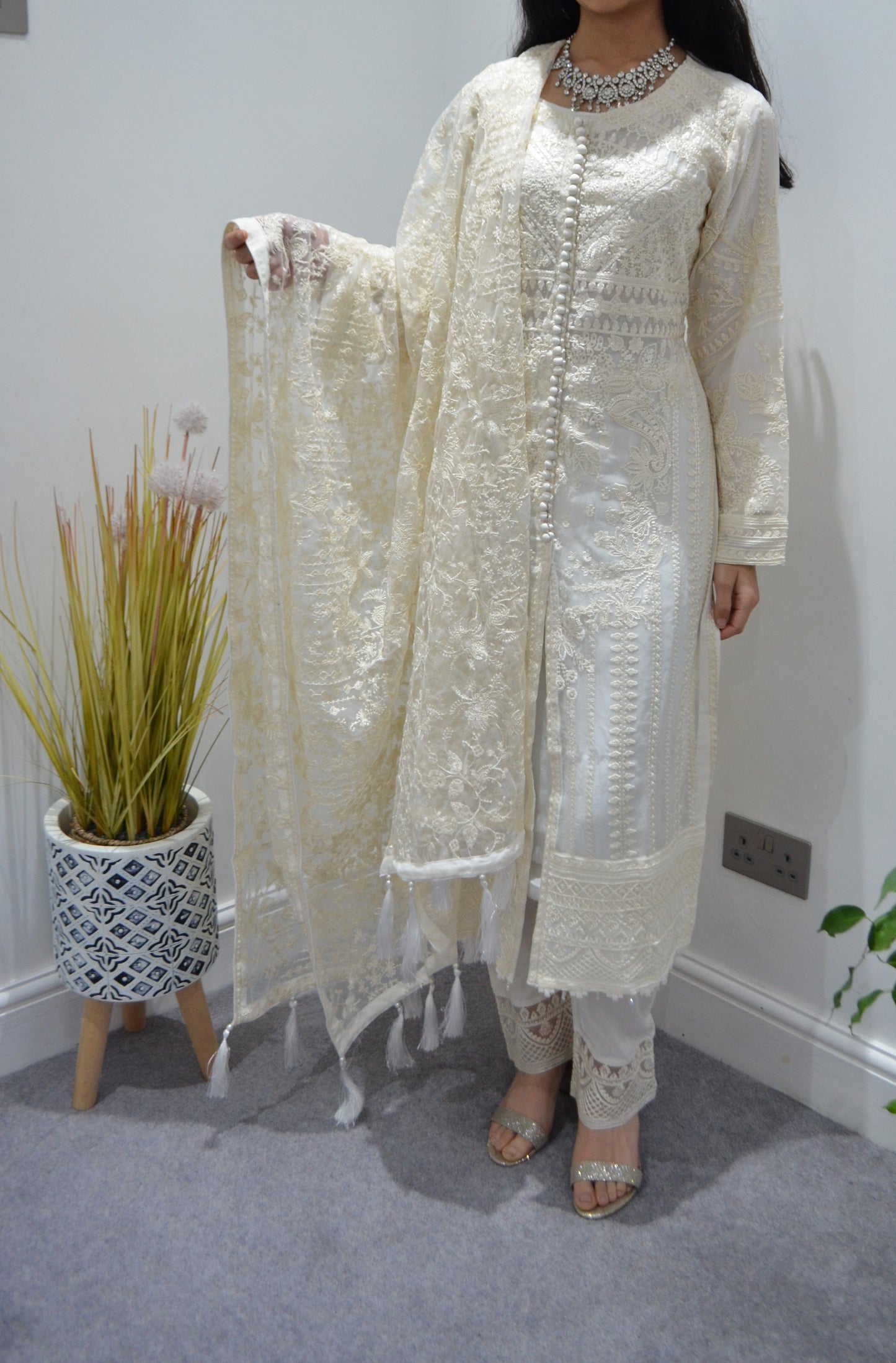 Beautiful Chiffon Kameez set